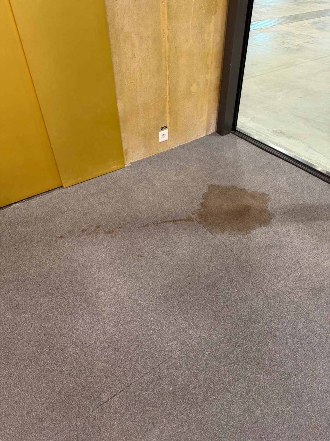 Moquette d’un espace de passage avant nettoyage par KB Clean
